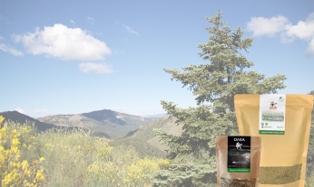 Olea mountain oregano pack