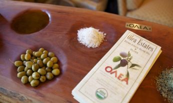 Olea salt and olives