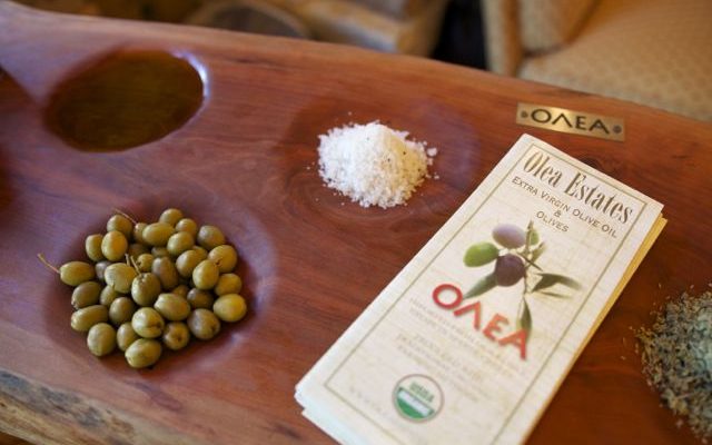 Olea salt and olives